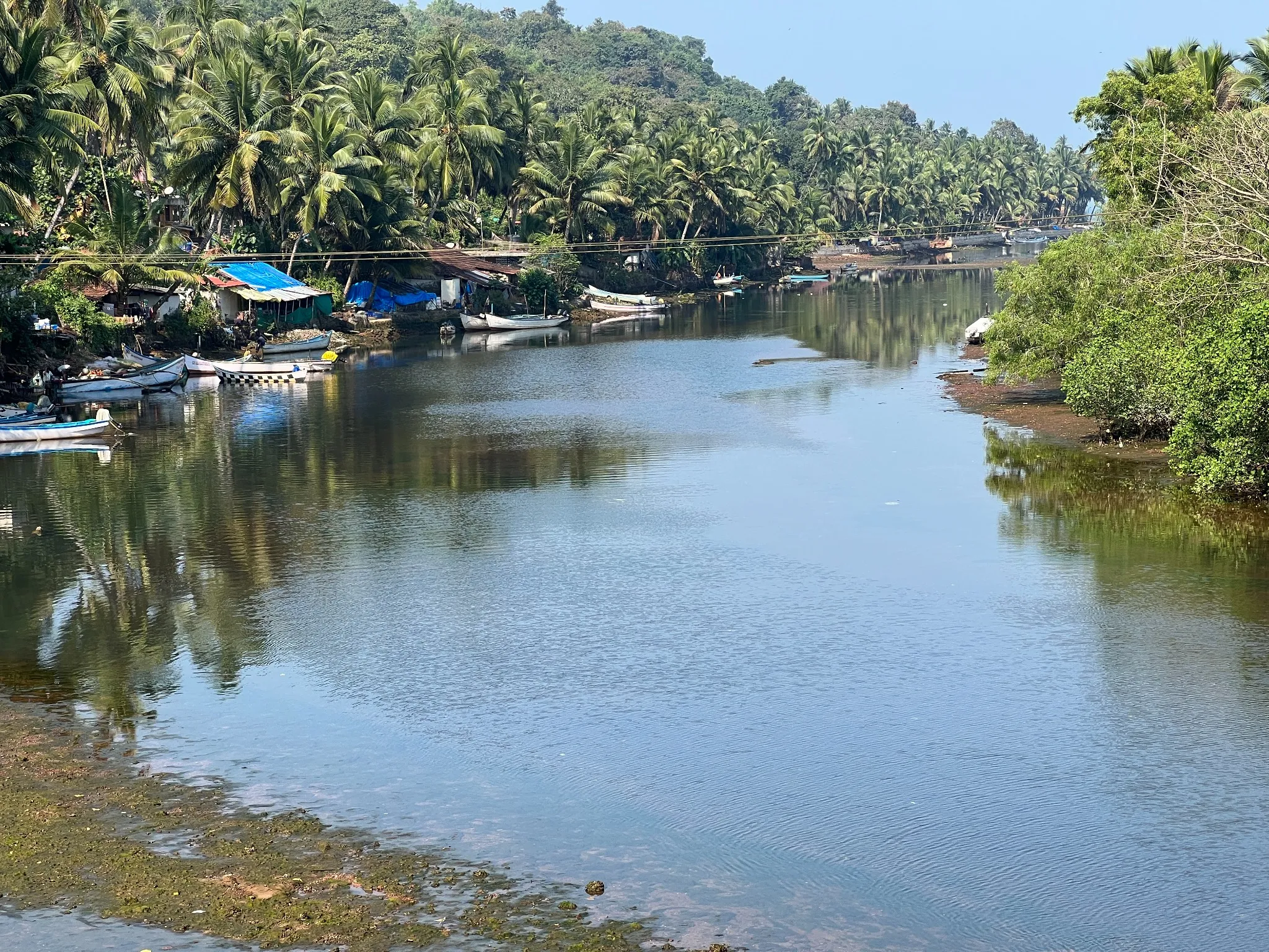 South Goa, Goa River, Tropical Landscape, Palm Trees, Goa Boats, Goa Villages, Serene Goa, Idyllic Goa, Nature in Goa, Tranquil Goa